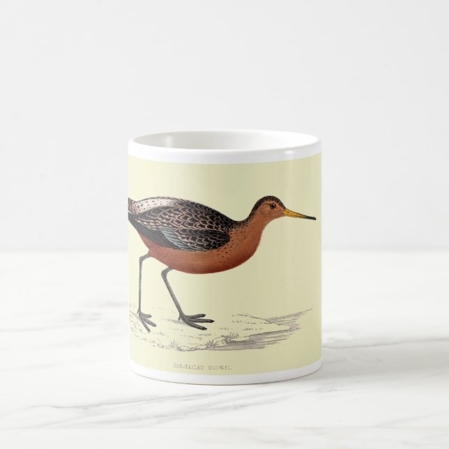 De Café Caneca - limosa atada bar (Centro)