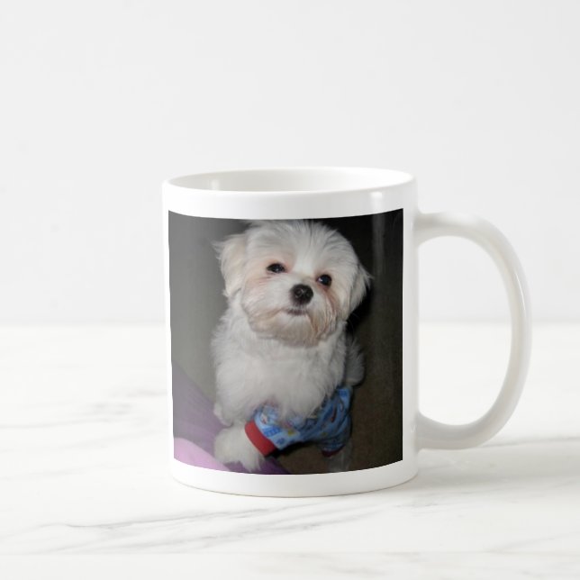 De Café Caneca maltesa da luz do sol do bom dia (Direita)