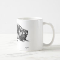 Caneca manchada ocidental da jaritataca