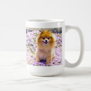 De Café Caneca   Marley da Pomerânia com flores Mauve