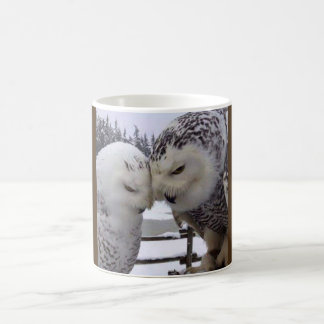 De Café Caneca nevado dos pássaros do amor das corujas