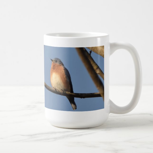 De Café Caneca oriental do Bluebird (Direita)