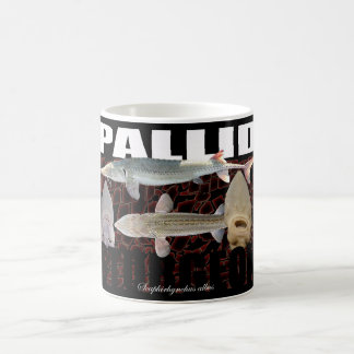 De Café Caneca Pallid da colagem do esturjão