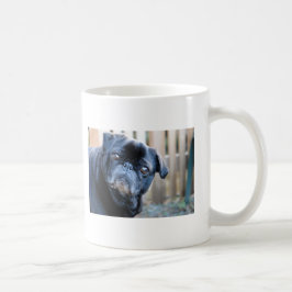 De Café Caneca preta curiosa do Pug