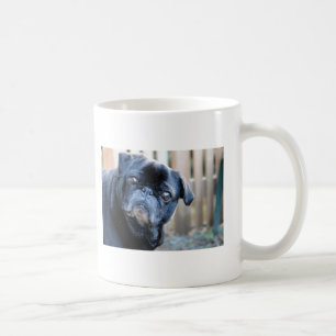 De Café Caneca preta curiosa do Pug