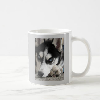 De Café Caneca ronca bonito