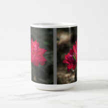 Caneca Rosa Vermelha