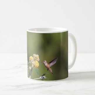 De Café Caneca Rufous do colibri