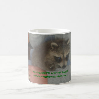 De Café caneca salvada do guaxinim do bebê
