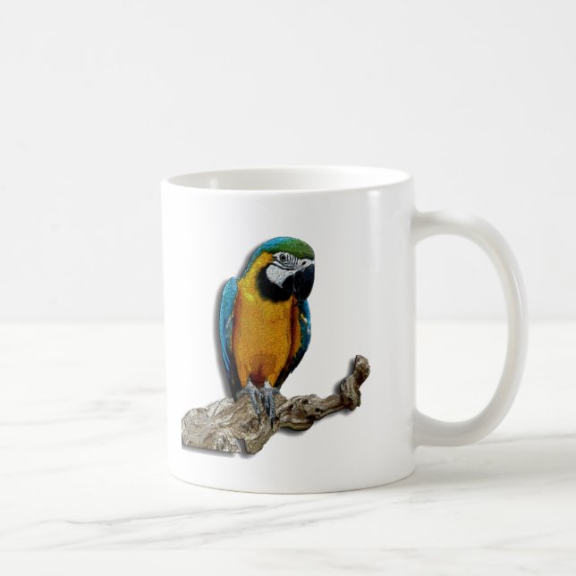 De Café Caneca sozinha do papagaio alaranjado (Direita)