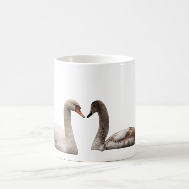 De Café Caneca Swan Connection – Graça e Natureza em Harmo (Centro)