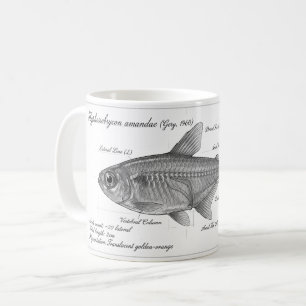 De Café Caneca - Tetra Ember