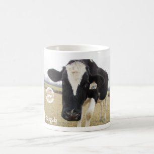 De Café Caneca tímida da vaca