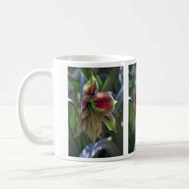 De Café Caneca verde do lírio… (Esquerda)