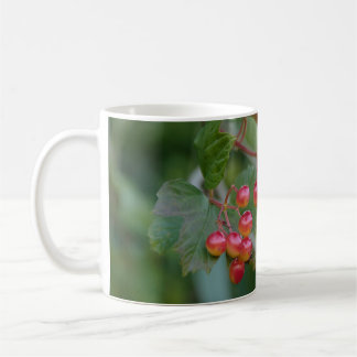 De Café Caneca vermelha da baga para uma bebida quente no