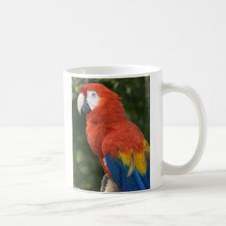 De Café Caneca vermelha do Macaw