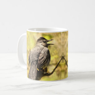 De Café Catbirds cinzentos do canto caneca
