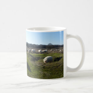 De Café Charneca panorâmico com caneca dos carneiros