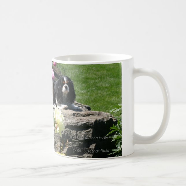 De Café Dois Cavaliers na caneca do jardim (Direita)