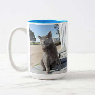 De Café Em Dois Tons 15 onças. Caneca do gato