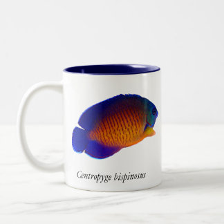 De Café Em Dois Tons Angelfish coral da beleza - caneca do bispinosus