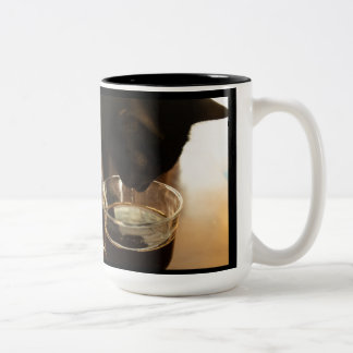 De Café Em Dois Tons Apenas um gole : Caneca Orion Meu Gato