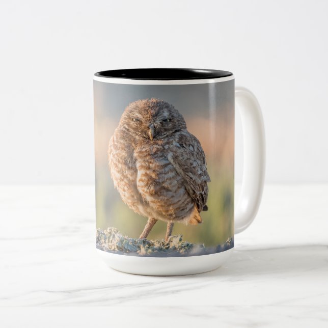 De Café Em Dois Tons Burrowing a grande caneca da coruja (Frente Esquerda)