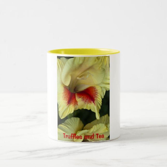 De Café Em Dois Tons Caneca (Centro)