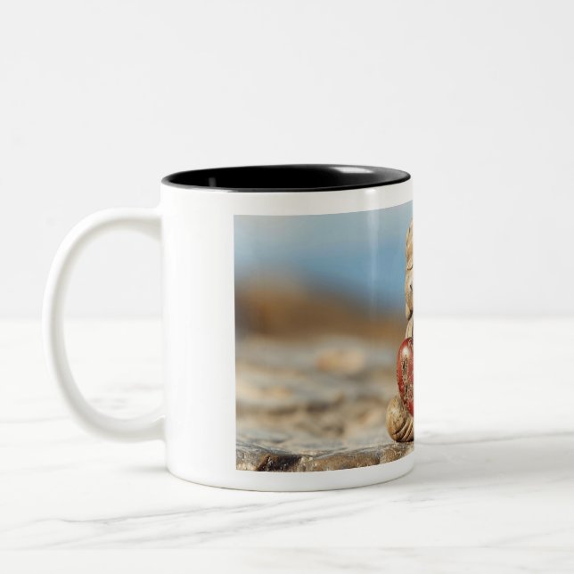 De Café Em Dois Tons caneca (Esquerda)
