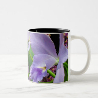 De Café Em Dois Tons Caneca 11 da orquídea