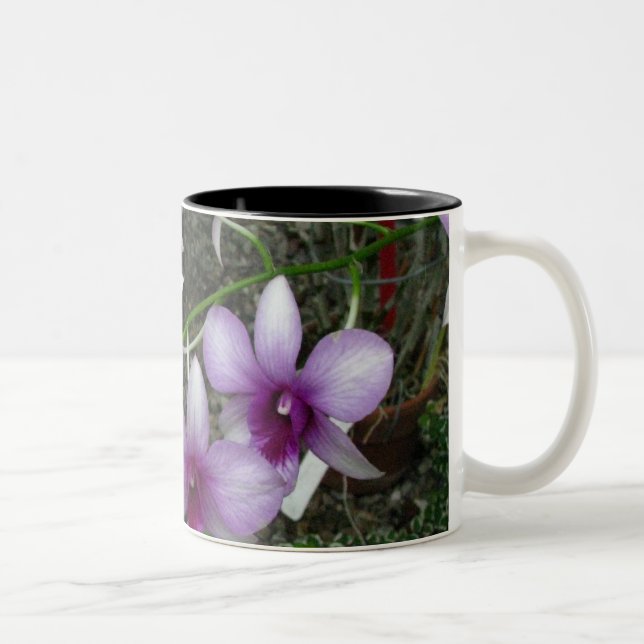 De Café Em Dois Tons Caneca 5 da orquídea (Direita)
