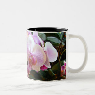 De Café Em Dois Tons Caneca 6 da orquídea