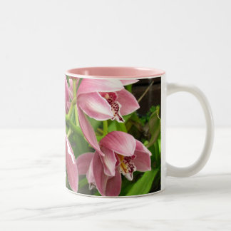 De Café Em Dois Tons Caneca 7 da orquídea