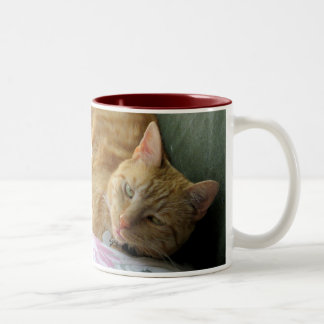 De Café Em Dois Tons Caneca alaranjada do gato malhado com verso