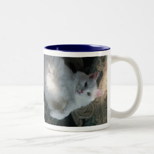 De Café Em Dois Tons Caneca branca do gato, surpresa do gatinho