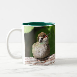 De Café Em Dois Tons caneca Branco-orelhuda do colibri,