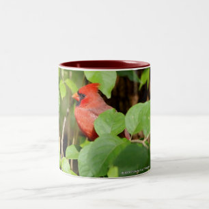 De Café Em Dois Tons caneca cardinal