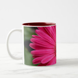 De Café Em Dois Tons Caneca cor-de-rosa da margarida do Gerbera