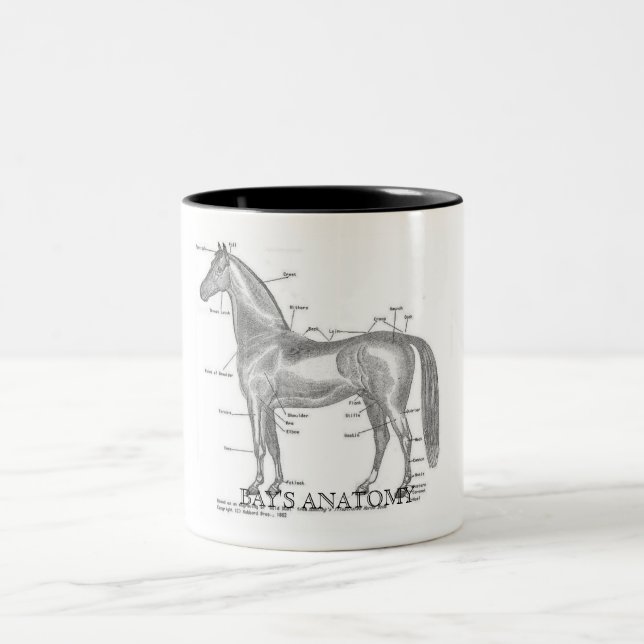 De Café Em Dois Tons Caneca da anatomia das baías (Centro)