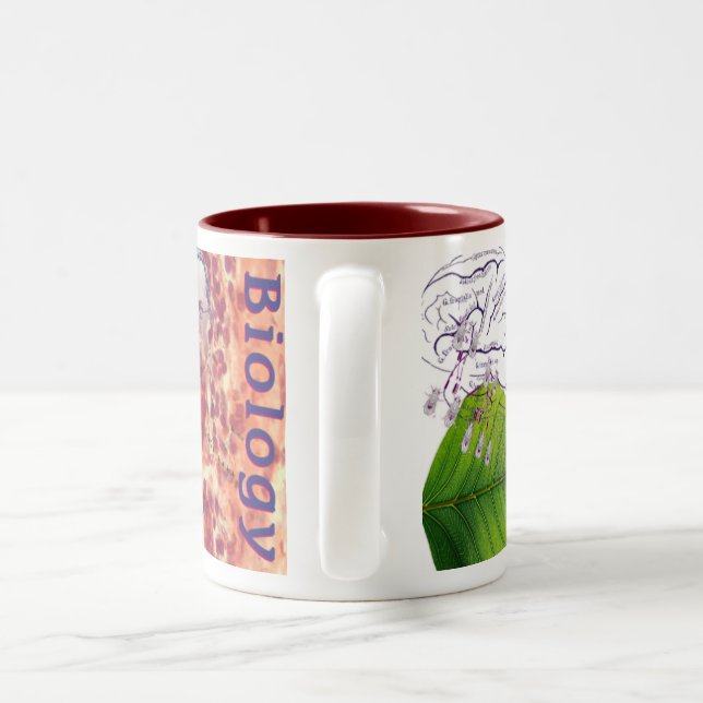 De Café Em Dois Tons Caneca da biologia (Alça)