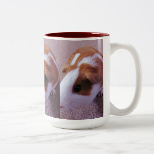 De Café Em Dois Tons Caneca da cobaia