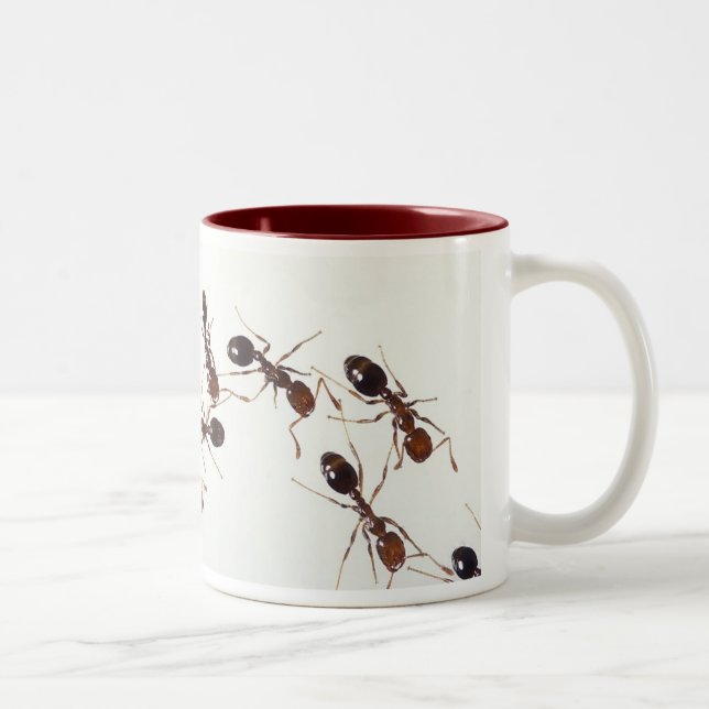 De Café Em Dois Tons caneca da formiga (Direita)