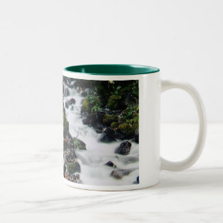 De Café Em Dois Tons Caneca da névoa do outono