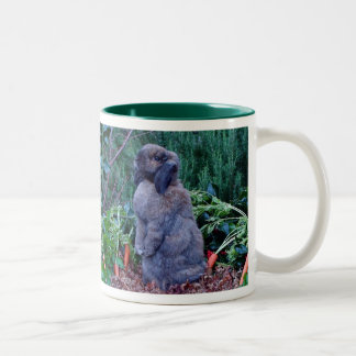 De Café Em Dois Tons Caneca do coelho - personalizada