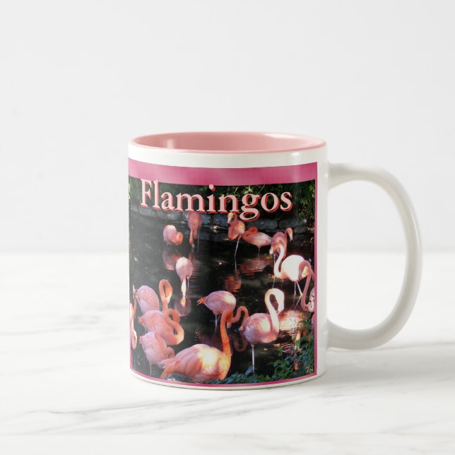 De Café Em Dois Tons Caneca do flamingo (Direita)