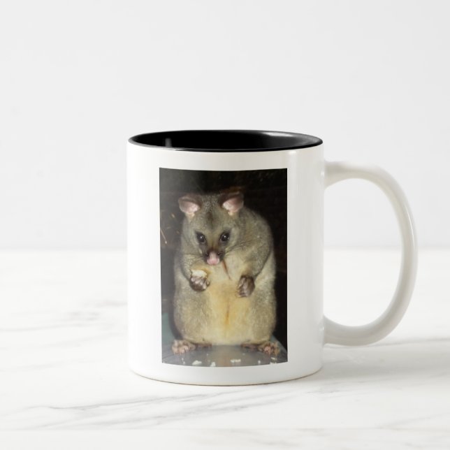 De Café Em Dois Tons caneca do gambá (Direita)