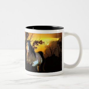 De Café Em Dois Tons Caneca do garanhão do por do sol