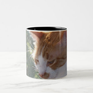 De Café Em Dois Tons Caneca do gato