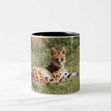 Caneca do gato do Serval