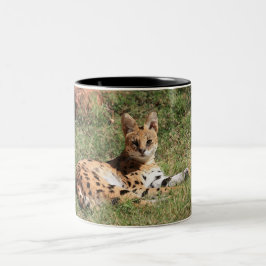 De Café Em Dois Tons Caneca do gato do Serval
